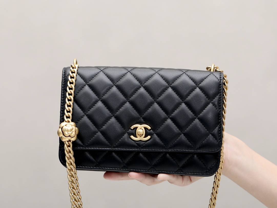 i1683553205_9851_0-2