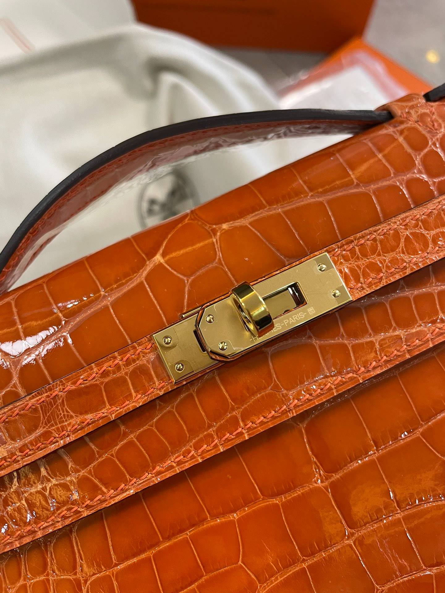 i1701155838_8282_6-1