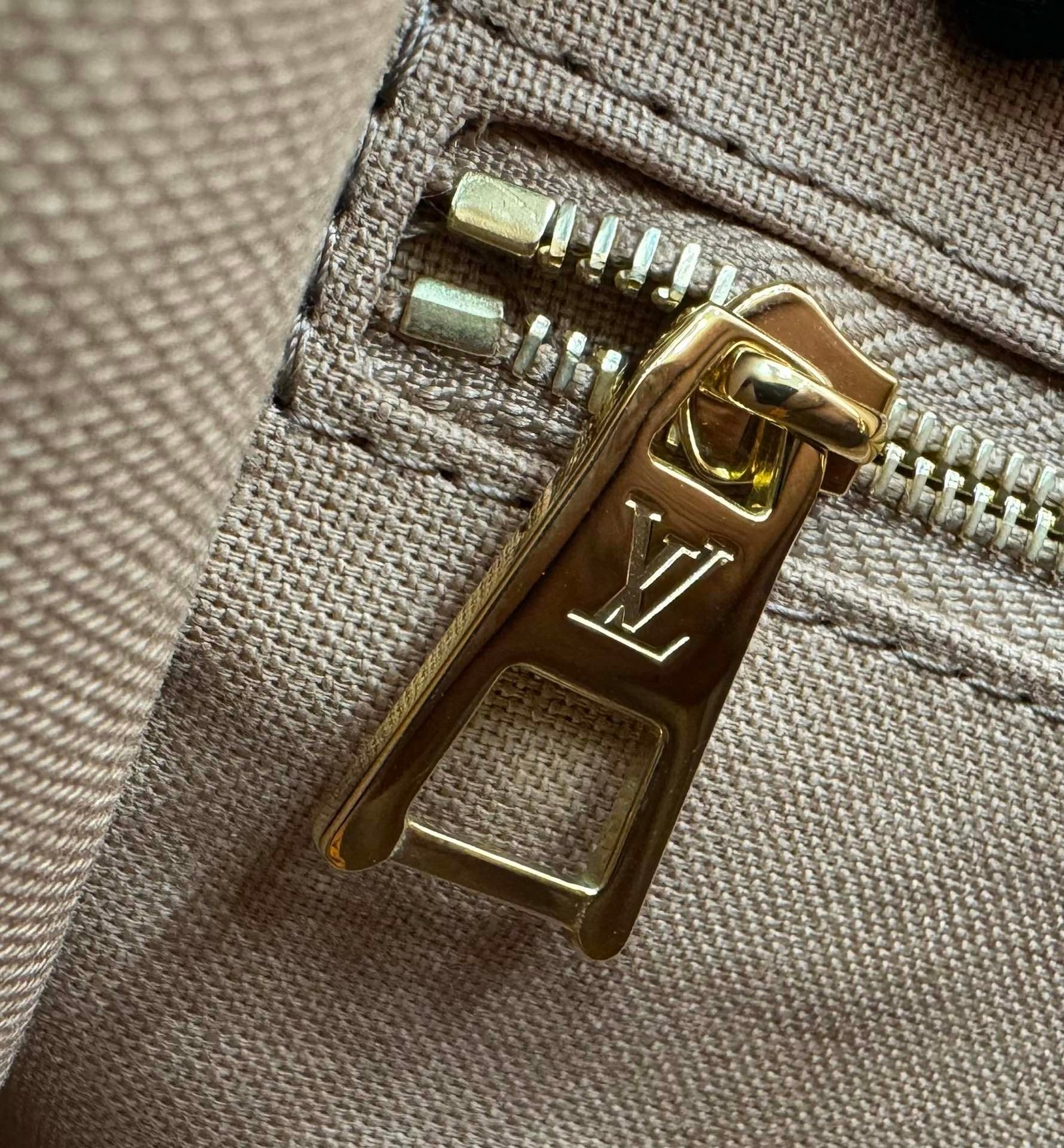 i1717129239_3782_8-1