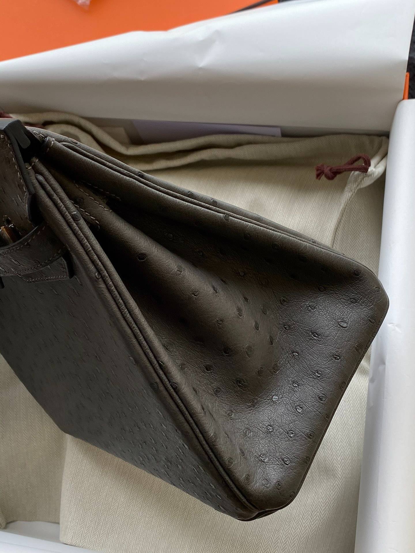 i1720795274_3419_0-1