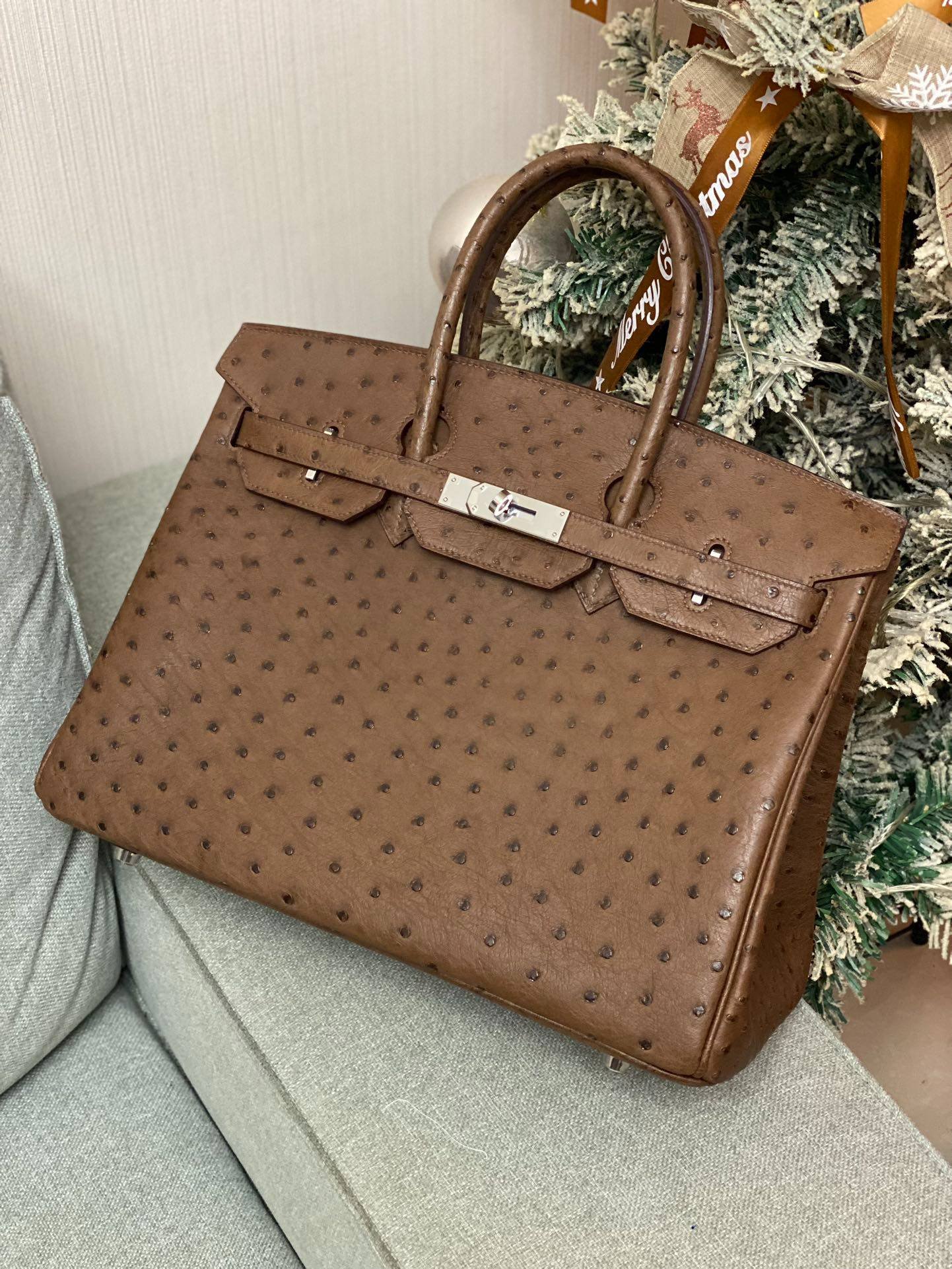 i1720795404_3083_2-1