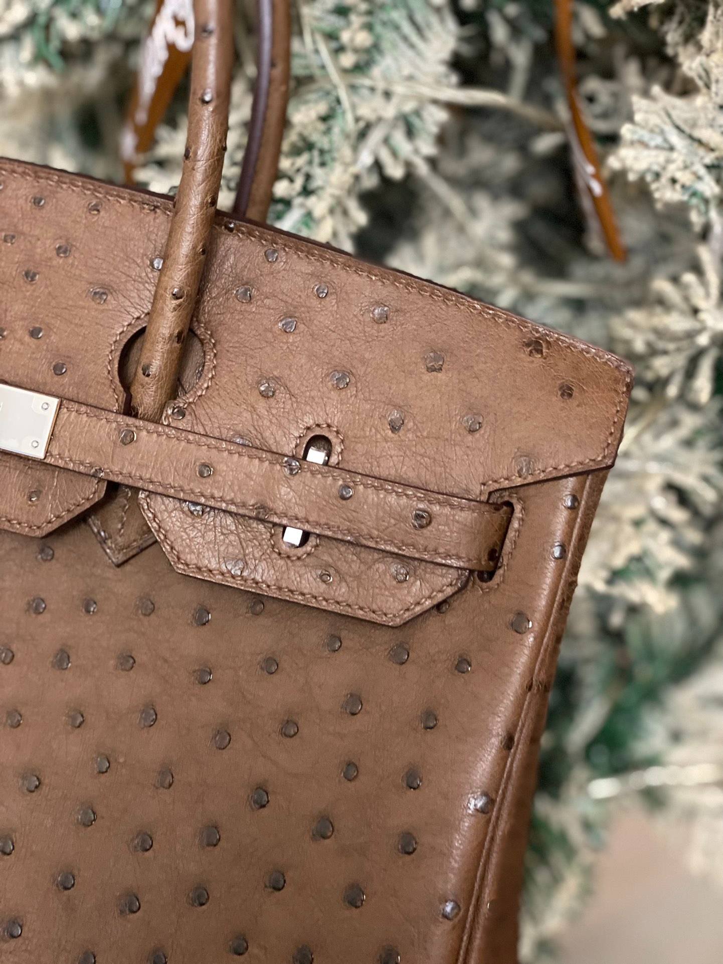 i1720795404_7238_8-1