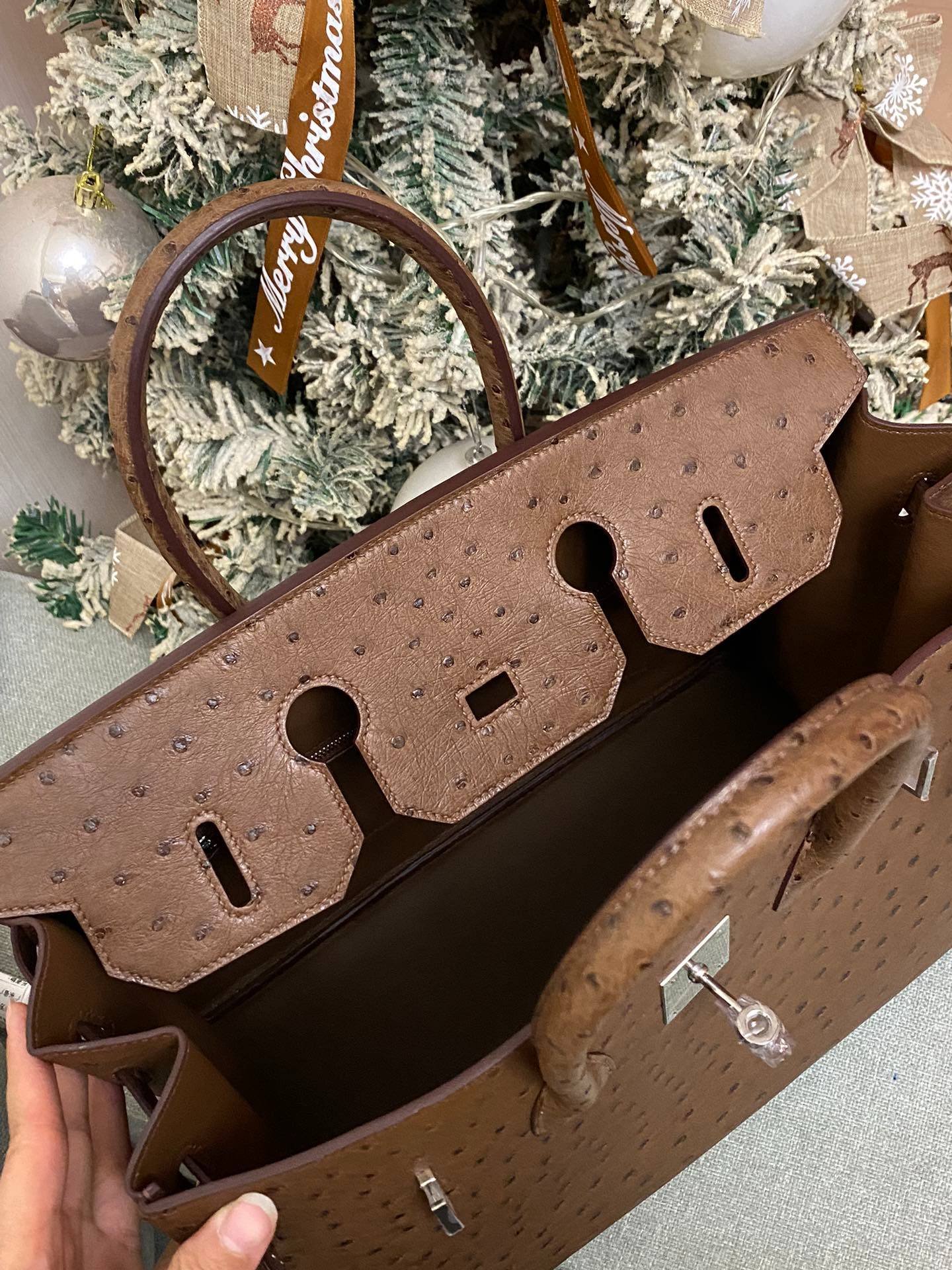 i1720795404_7651_7-1