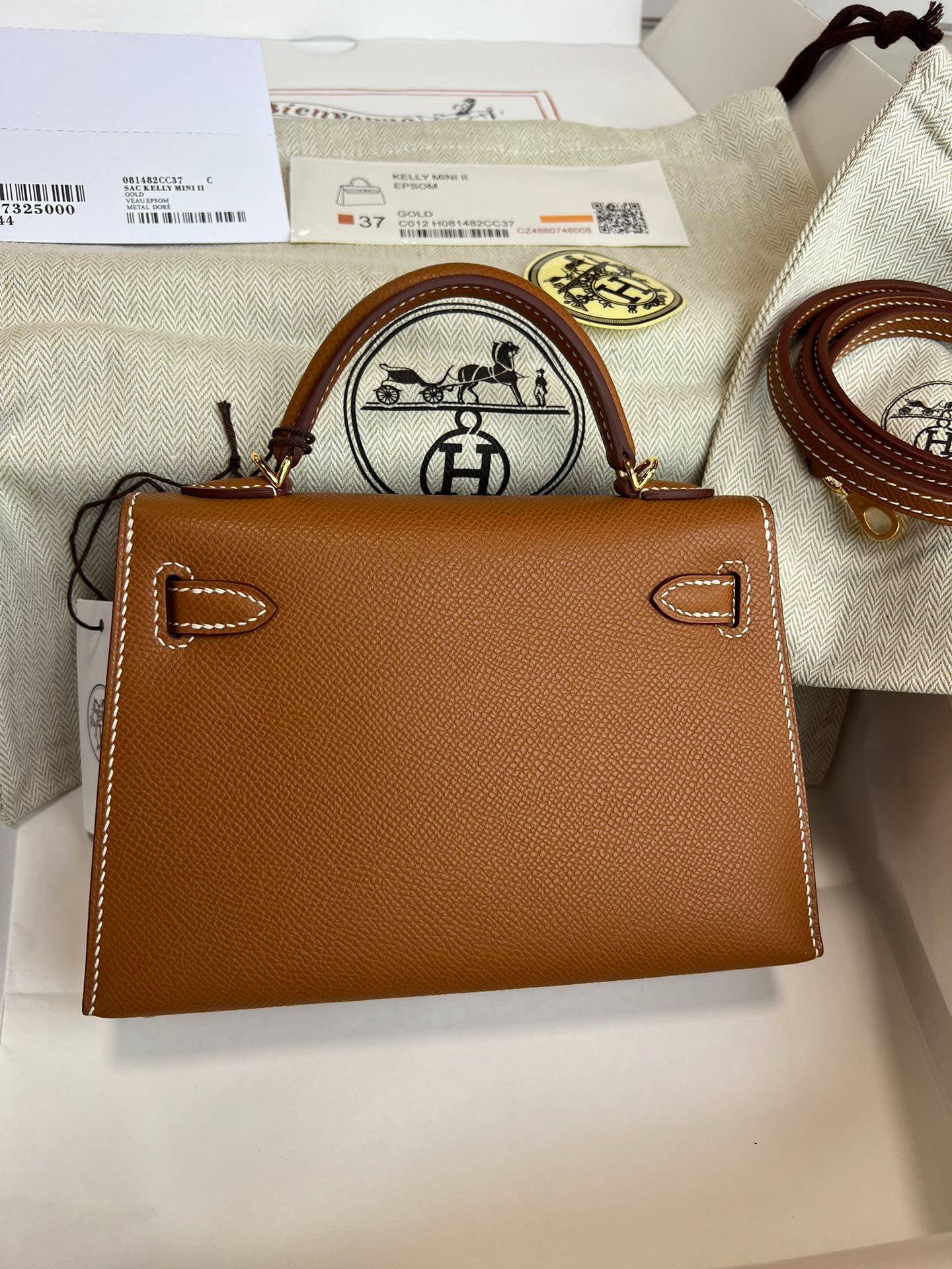 i1723188263_3300_2-1