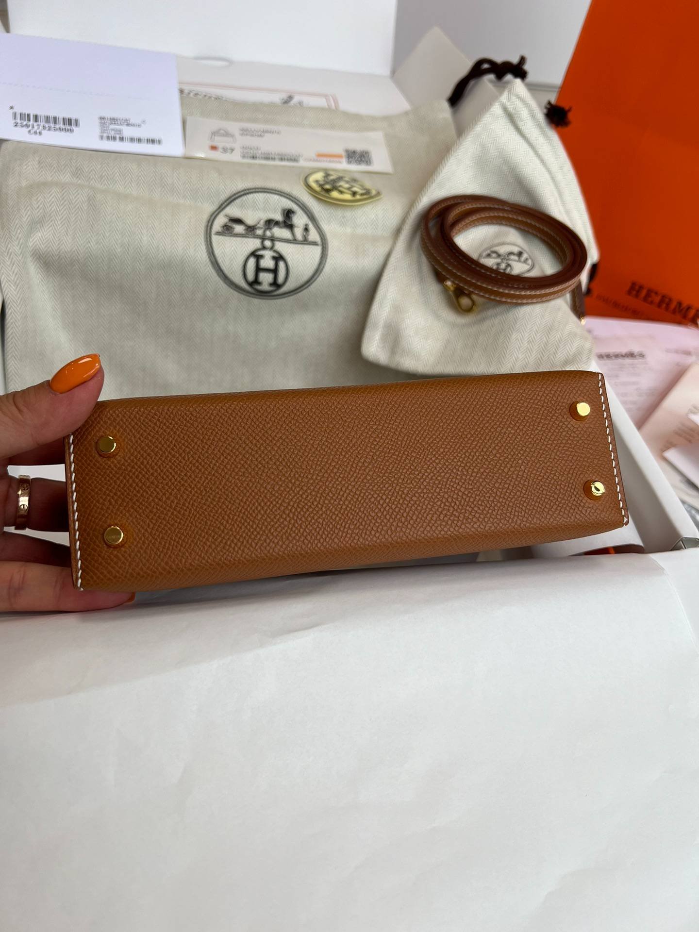 i1723188263_4885_3-1