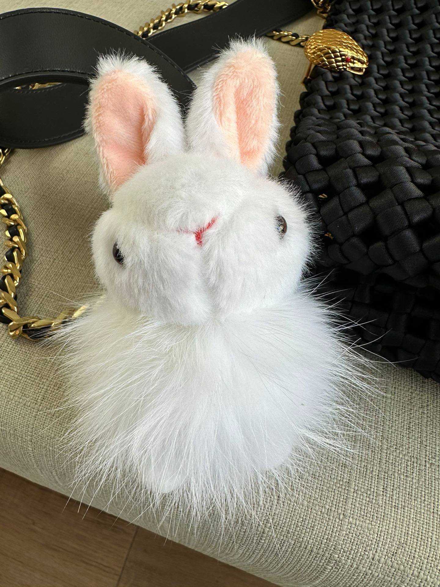 i1698870866_449_6-1 i1698870866_449_6-1