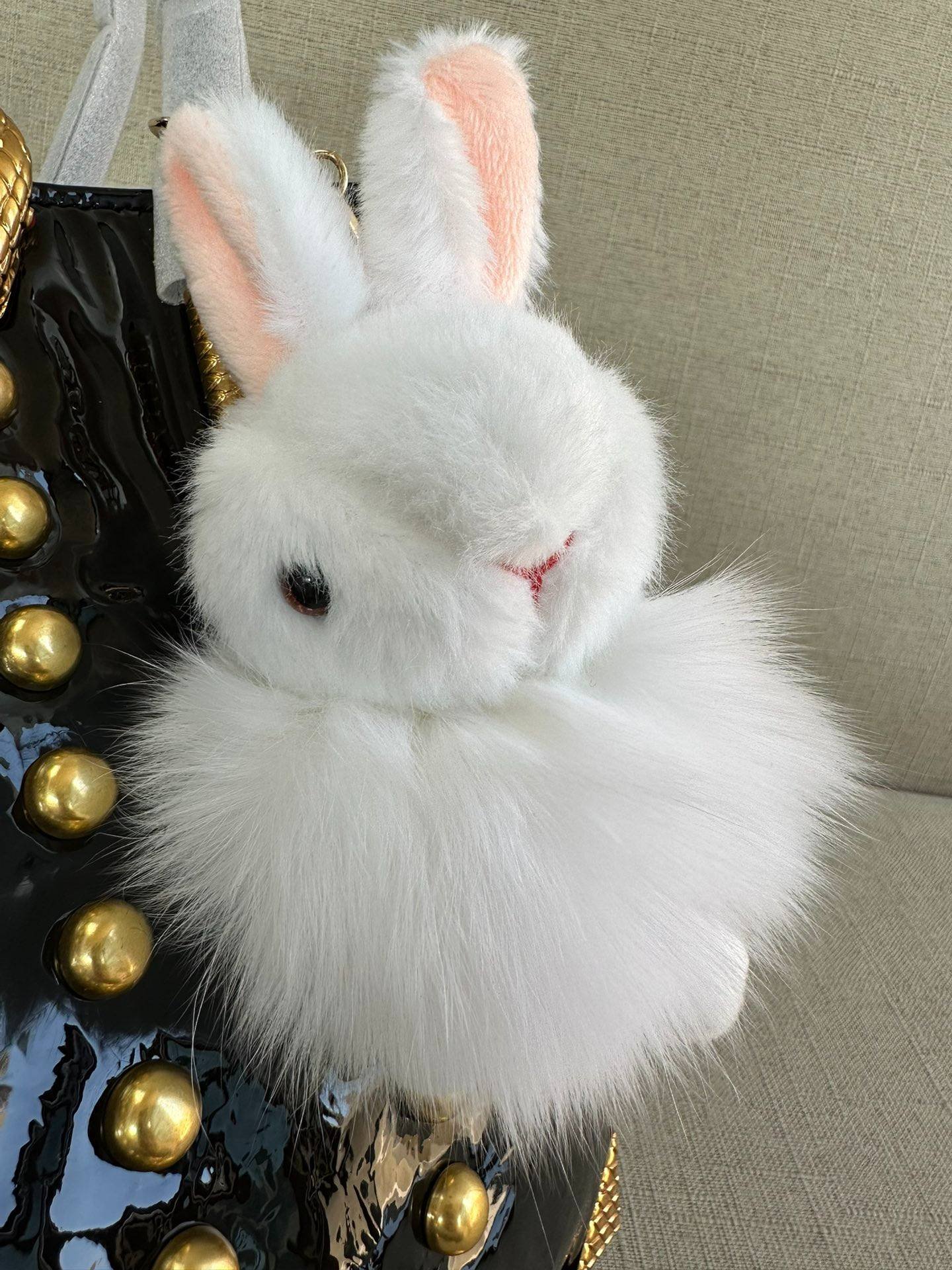 i1698871761_5979_6-1