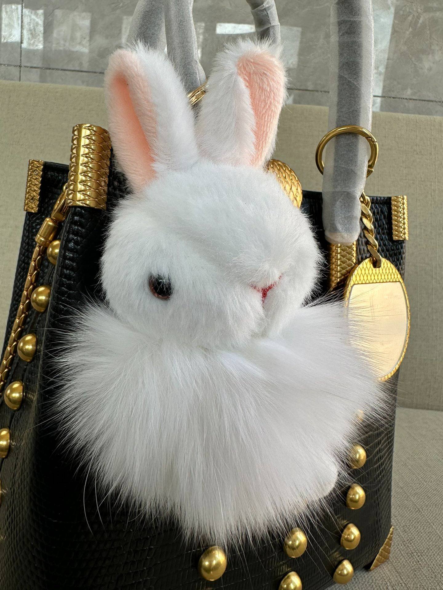 i1698871813_5112_6-1 i1698871813_5112_6-1