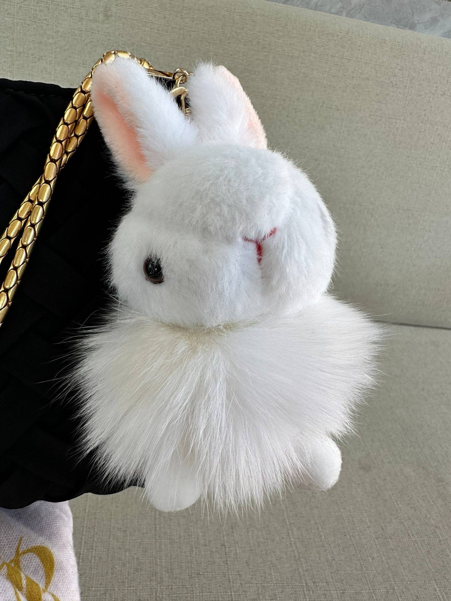 i1698872096_3235_5-1