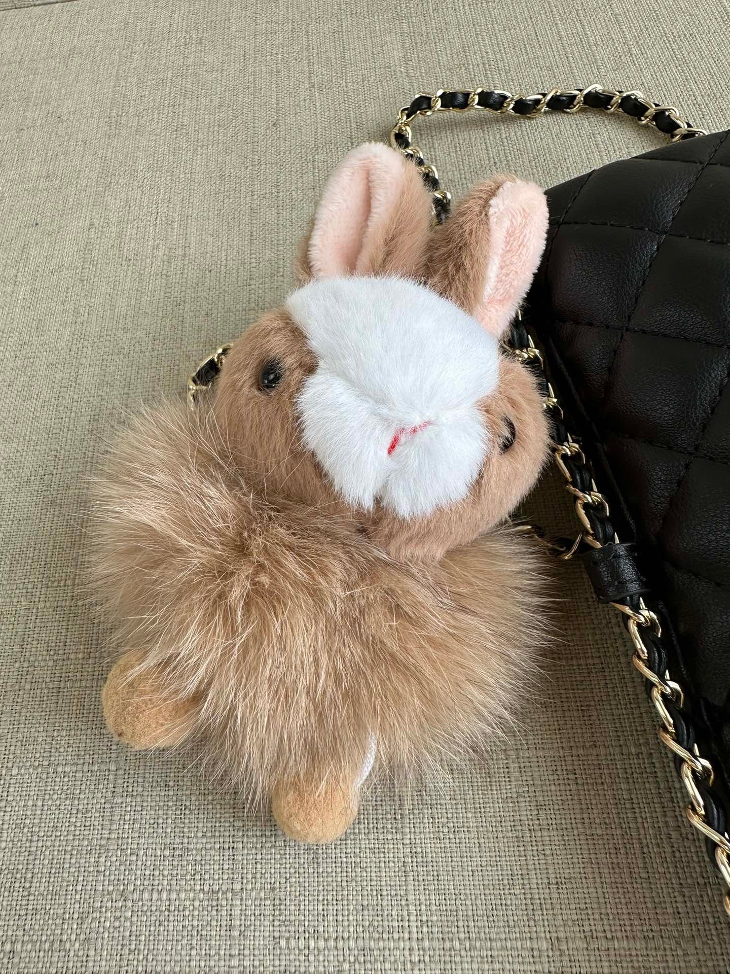 i1712842645_3053_2-1 i1712842645_3053_2-1