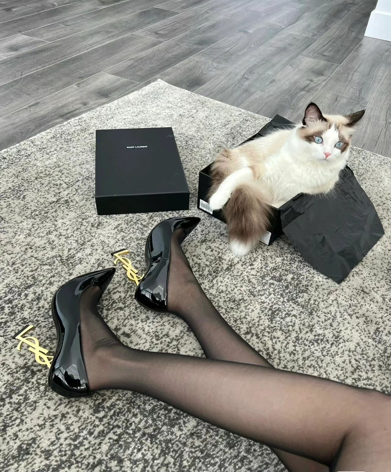 a1695805312669_3352-1